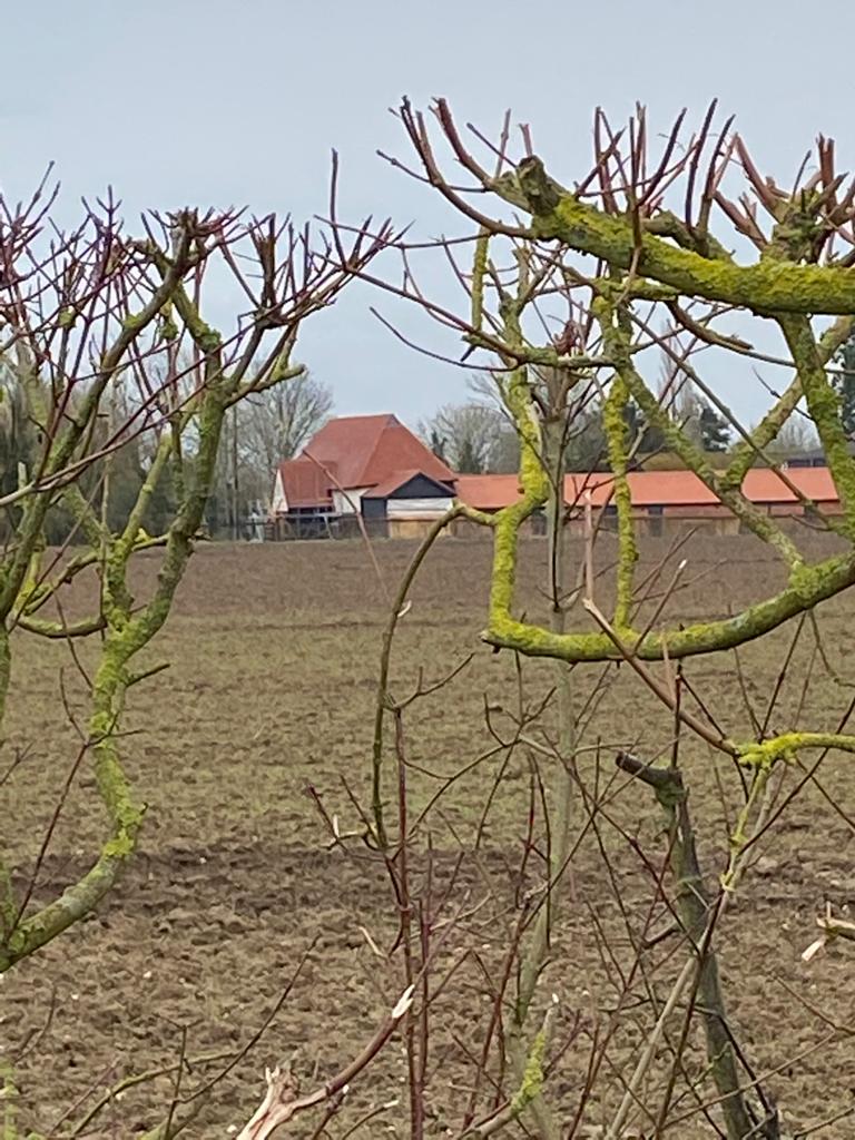 Suffolk Barn Conversion